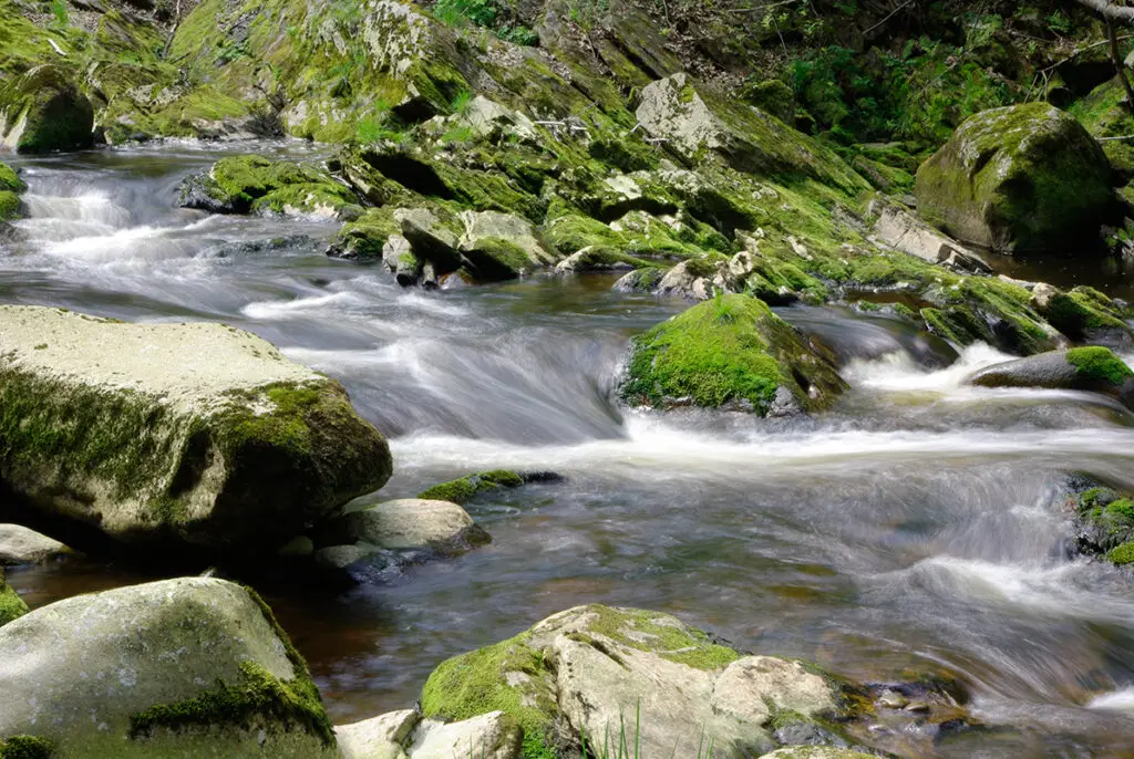 Divoký horský potok s tekoucí vodou mezi mechem porostlými kameny, symbolizující jarní tání a probouzení přírody v březnu.